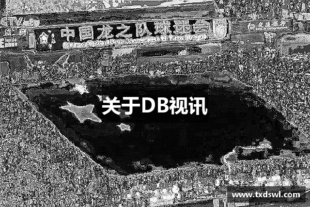 关于DB视讯